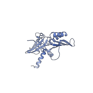 35634_8ip8_ia_v1-0
Wheat 80S ribosome stalled on AUG-Stop boron dependently