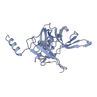 35634_8ip8_ja_v1-0
Wheat 80S ribosome stalled on AUG-Stop boron dependently