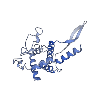 35634_8ip8_ka_v1-0
Wheat 80S ribosome stalled on AUG-Stop boron dependently