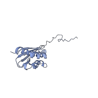 35634_8ip8_la_v1-0
Wheat 80S ribosome stalled on AUG-Stop boron dependently