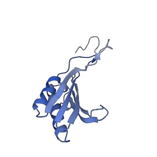 35634_8ip8_na_v1-0
Wheat 80S ribosome stalled on AUG-Stop boron dependently