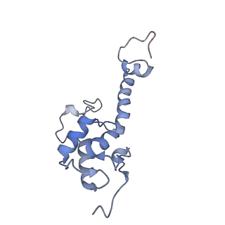 35634_8ip8_oa_v1-0
Wheat 80S ribosome stalled on AUG-Stop boron dependently