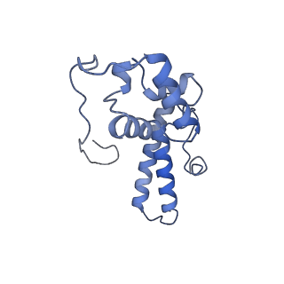 35634_8ip8_pa_v1-0
Wheat 80S ribosome stalled on AUG-Stop boron dependently