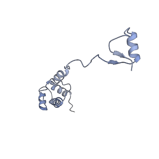 35634_8ip8_qa_v1-0
Wheat 80S ribosome stalled on AUG-Stop boron dependently
