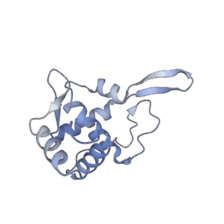 35634_8ip8_ra_v1-0
Wheat 80S ribosome stalled on AUG-Stop boron dependently