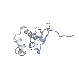 35634_8ip8_sa_v1-0
Wheat 80S ribosome stalled on AUG-Stop boron dependently