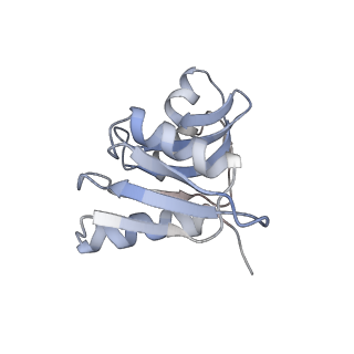 35634_8ip8_va_v1-0
Wheat 80S ribosome stalled on AUG-Stop boron dependently