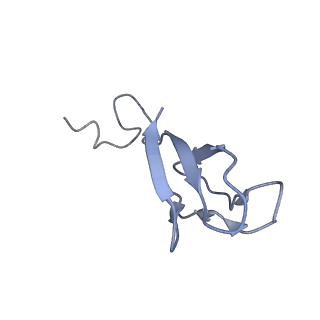 35634_8ip8_xa_v1-0
Wheat 80S ribosome stalled on AUG-Stop boron dependently