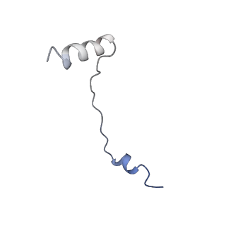 35634_8ip8_ya_v1-0
Wheat 80S ribosome stalled on AUG-Stop boron dependently
