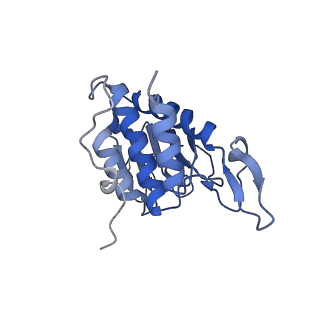 35634_8ip8_za_v1-0
Wheat 80S ribosome stalled on AUG-Stop boron dependently