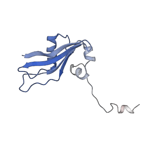 35635_8ip9_ba_v1-0
Wheat 40S ribosome in complex with a tRNAi