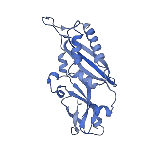 35635_8ip9_bb_v1-0
Wheat 40S ribosome in complex with a tRNAi