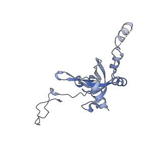 35635_8ip9_ca_v1-0
Wheat 40S ribosome in complex with a tRNAi
