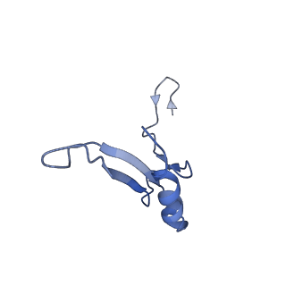35635_8ip9_cb_v1-0
Wheat 40S ribosome in complex with a tRNAi