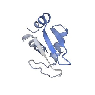 35635_8ip9_da_v1-0
Wheat 40S ribosome in complex with a tRNAi