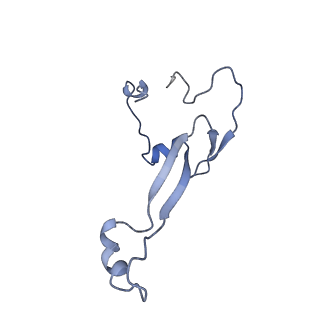 35635_8ip9_db_v1-0
Wheat 40S ribosome in complex with a tRNAi