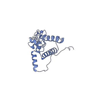 35635_8ip9_eb_v1-0
Wheat 40S ribosome in complex with a tRNAi