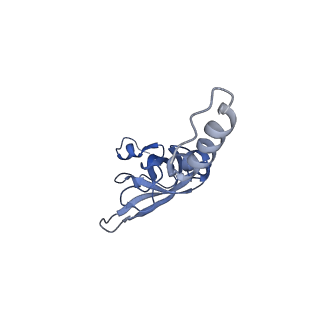 35635_8ip9_ga_v1-0
Wheat 40S ribosome in complex with a tRNAi