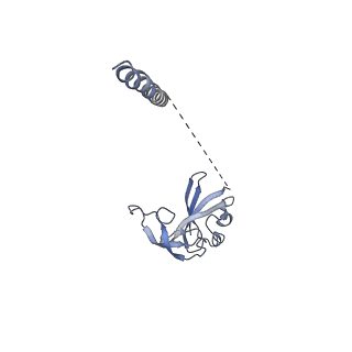 35635_8ip9_gb_v1-0
Wheat 40S ribosome in complex with a tRNAi