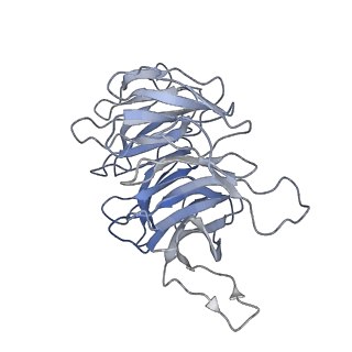 35635_8ip9_ha_v1-0
Wheat 40S ribosome in complex with a tRNAi