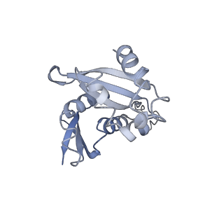 35635_8ip9_hb_v1-0
Wheat 40S ribosome in complex with a tRNAi