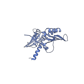 35635_8ip9_ia_v1-0
Wheat 40S ribosome in complex with a tRNAi