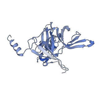 35635_8ip9_ja_v1-0
Wheat 40S ribosome in complex with a tRNAi