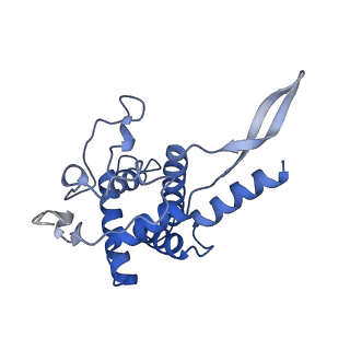 35635_8ip9_ka_v1-0
Wheat 40S ribosome in complex with a tRNAi