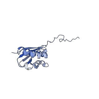 35635_8ip9_la_v1-0
Wheat 40S ribosome in complex with a tRNAi