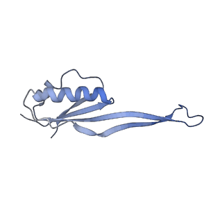 35635_8ip9_ma_v1-0
Wheat 40S ribosome in complex with a tRNAi