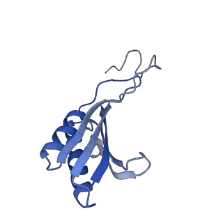 35635_8ip9_na_v1-0
Wheat 40S ribosome in complex with a tRNAi