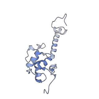35635_8ip9_oa_v1-0
Wheat 40S ribosome in complex with a tRNAi