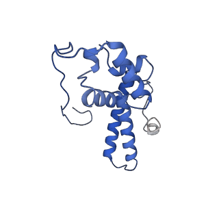 35635_8ip9_pa_v1-0
Wheat 40S ribosome in complex with a tRNAi