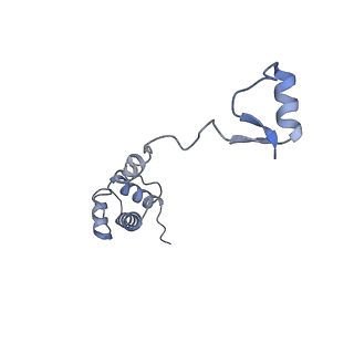 35635_8ip9_qa_v1-0
Wheat 40S ribosome in complex with a tRNAi