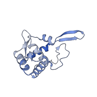 35635_8ip9_ra_v1-0
Wheat 40S ribosome in complex with a tRNAi