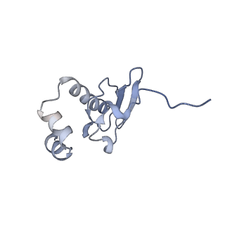 35635_8ip9_sa_v1-0
Wheat 40S ribosome in complex with a tRNAi