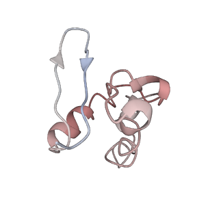 35635_8ip9_ta_v1-0
Wheat 40S ribosome in complex with a tRNAi