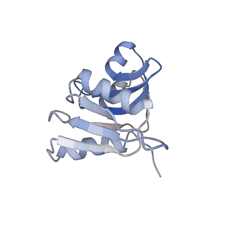 35635_8ip9_va_v1-0
Wheat 40S ribosome in complex with a tRNAi