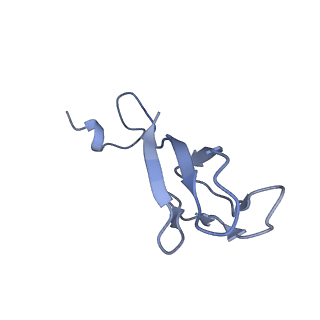 35635_8ip9_xa_v1-0
Wheat 40S ribosome in complex with a tRNAi