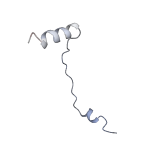 35635_8ip9_ya_v1-0
Wheat 40S ribosome in complex with a tRNAi