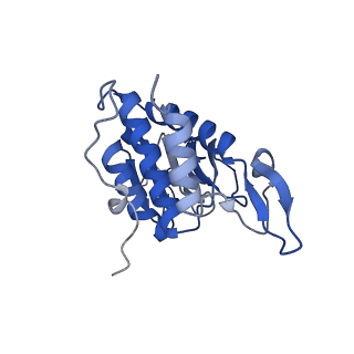 35635_8ip9_za_v1-0
Wheat 40S ribosome in complex with a tRNAi