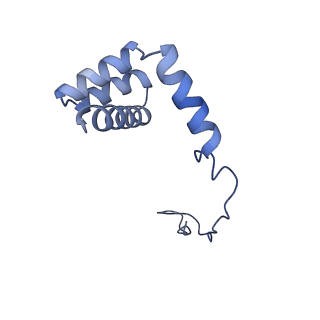 35637_8ipa_AB_v1-0
Wheat 80S ribosome stalled on AUG-Stop boron dependently with cycloheximide