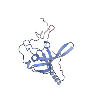 35637_8ipa_BA_v1-0
Wheat 80S ribosome stalled on AUG-Stop boron dependently with cycloheximide