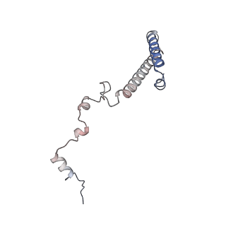 35637_8ipa_BB_v1-0
Wheat 80S ribosome stalled on AUG-Stop boron dependently with cycloheximide