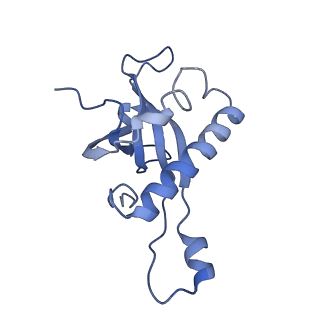 35637_8ipa_CA_v1-0
Wheat 80S ribosome stalled on AUG-Stop boron dependently with cycloheximide