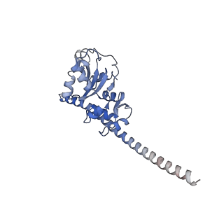 35637_8ipa_CB_v1-0
Wheat 80S ribosome stalled on AUG-Stop boron dependently with cycloheximide