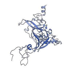 35637_8ipa_DB_v1-0
Wheat 80S ribosome stalled on AUG-Stop boron dependently with cycloheximide