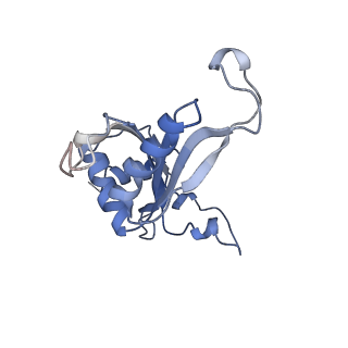 35637_8ipa_EA_v1-0
Wheat 80S ribosome stalled on AUG-Stop boron dependently with cycloheximide