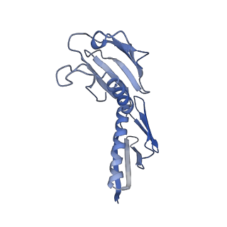 35637_8ipa_FA_v1-0
Wheat 80S ribosome stalled on AUG-Stop boron dependently with cycloheximide