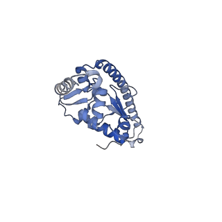 35637_8ipa_FB_v1-0
Wheat 80S ribosome stalled on AUG-Stop boron dependently with cycloheximide